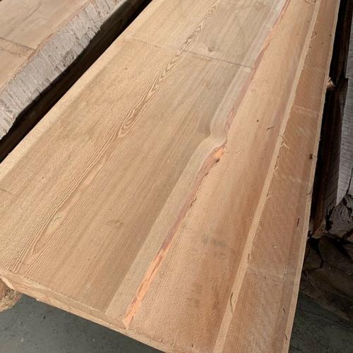 Lärche (2).jpg_500x500