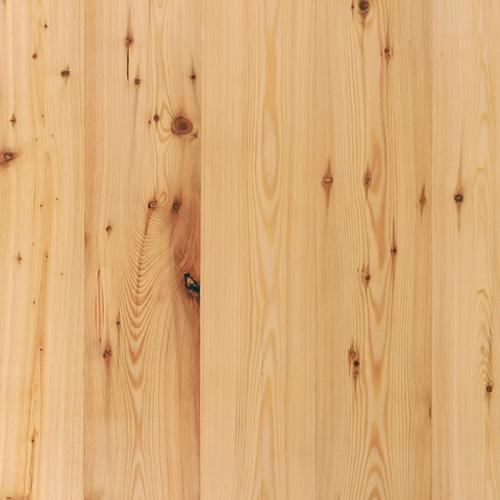 Lärche (4).jpg_500x500
